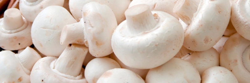 Mushroom Production in Kenya
